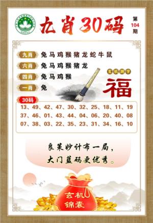 九肖30码